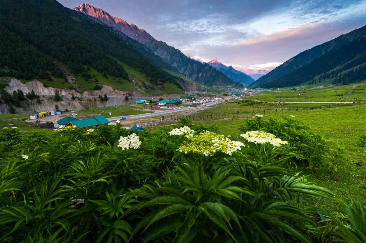 Doodhpathri Meadow Exploration